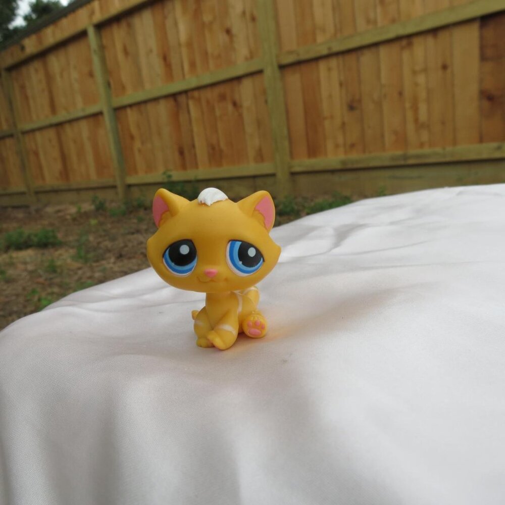 littlest pet shop🐱